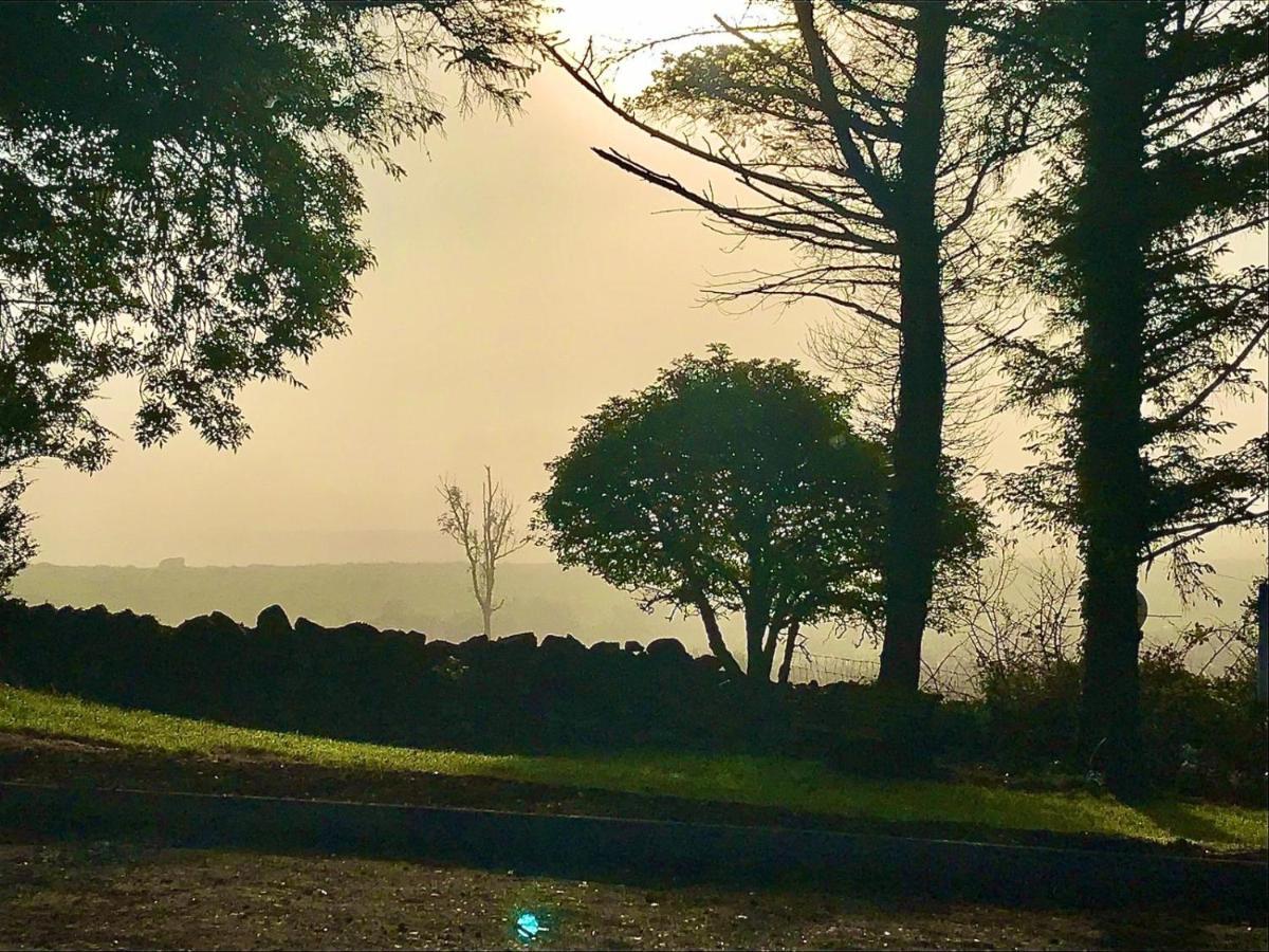 Birch Tree Cottage Westport Luaran gambar